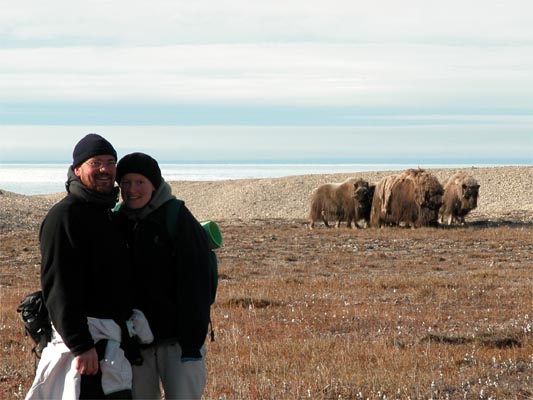 Toff & Tine with Musk Ox