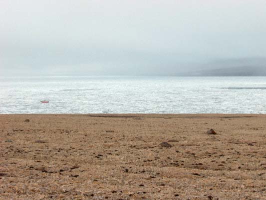 Vagabond in the ice